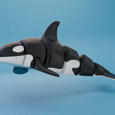 Cá voi sát thủ Orca articulated (singlecolor & multicolor) print-in-place