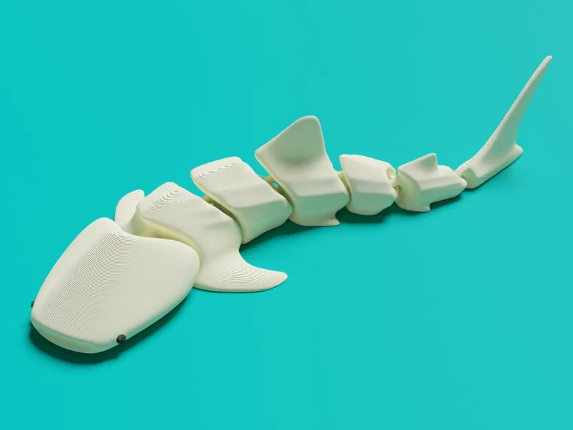 Cá Mập Voi Khớp Nối (Articulated Whale Shark) - Image 1