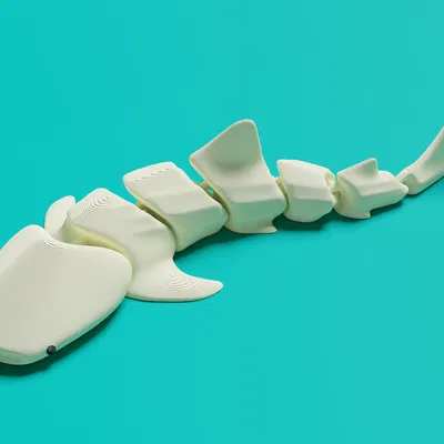 Cá Mập Voi Khớp Nối (Articulated Whale Shark)