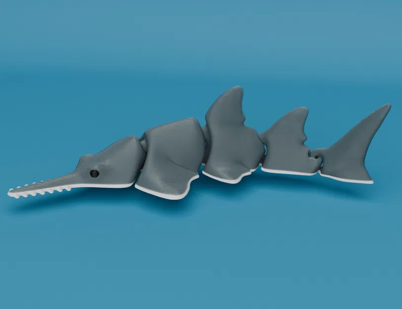 Cá Cưa khớp nối (Articulated Sawfish / Carpenter shark) – in liền khối - Image 2