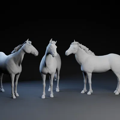 Mô Hình Ngựa 3D - Trang Trí Tinh Tế