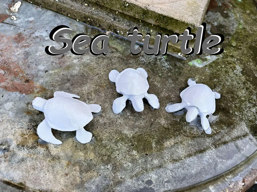 Rùa biển (Sea turtle) - Image 1