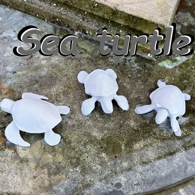 Rùa biển (Sea turtle)