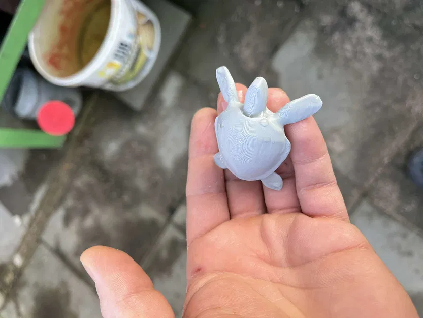 Rùa biển (Sea turtle) - Image 2