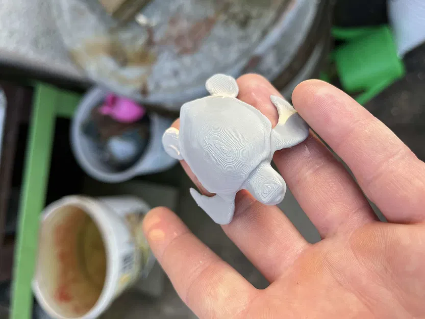 Rùa biển (Sea turtle) - Image 5