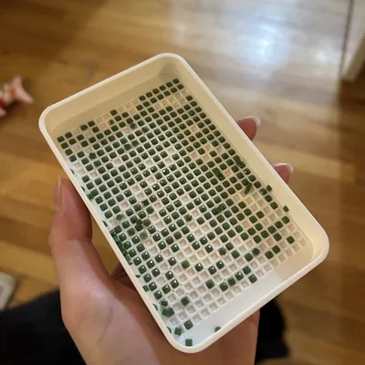 Khay Diamond Painting Single Placer (Single Placer Diamond Painting Tray)