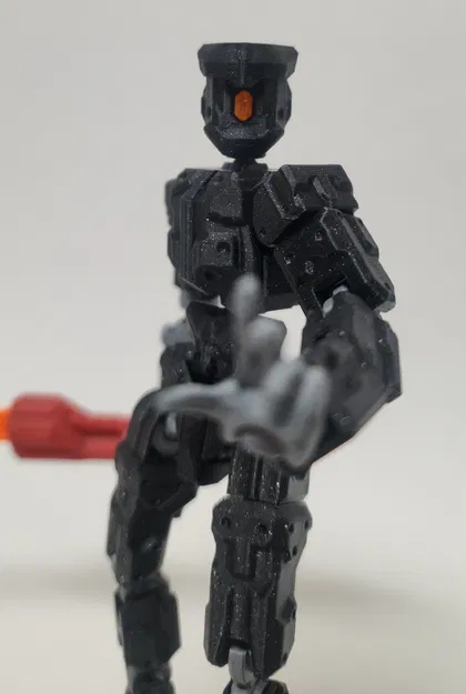 GALLIFORMES 13 - Image 2