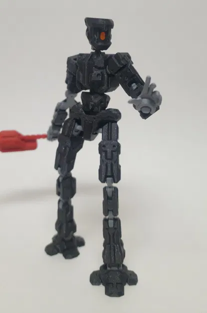 GALLIFORMES 13 - Image 12