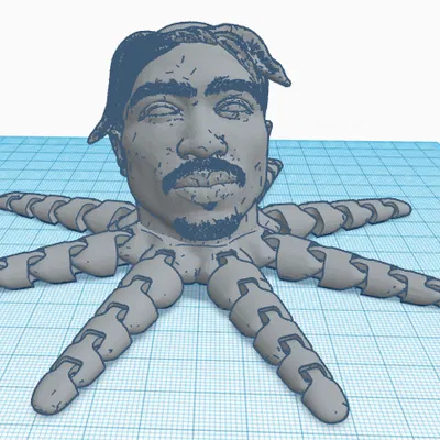 Mô Hình 2PAC Bạch Tuộc 3D Độc Đáo - Quà Tặng Fan Hâm Mộ