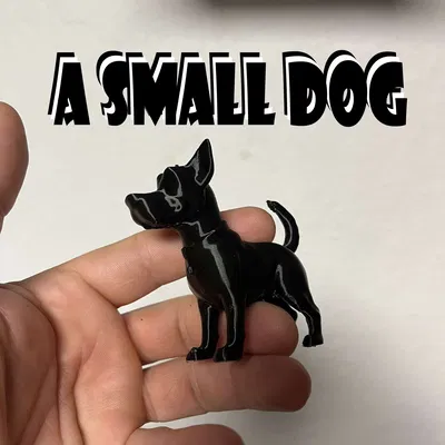 Malý pes (Chó nhỏ)