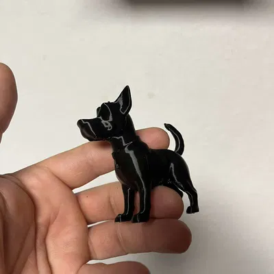 Malý pes (Chó nhỏ)