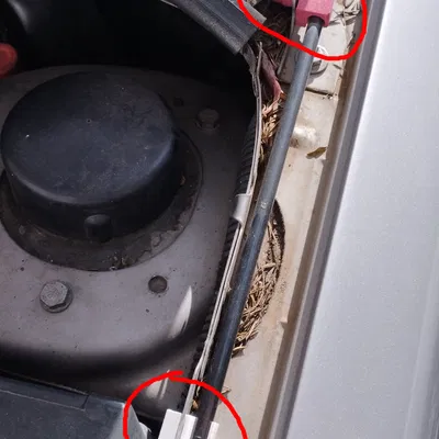 Kẹp giữ & bản lề thanh chống capo Peugeot 206 (Hood Prop Pod Clip and Hinge)