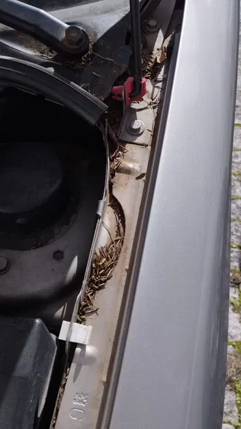 Kẹp giữ & bản lề thanh chống capo Peugeot 206 (Hood Prop Pod Clip and Hinge) - Image 2