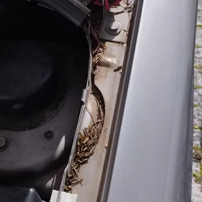 Kẹp giữ & bản lề thanh chống capo Peugeot 206 (Hood Prop Pod Clip and Hinge)