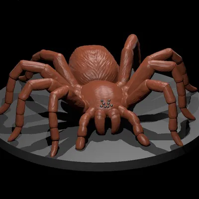 Nhện từ Tome of Beasts