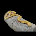 Mô Hình Rắn Hổ Mang 3D Mini Có Khớp Nối Siêu Ngầu - Thumbnail 2