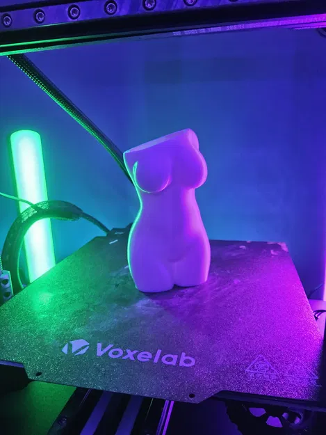 Bình Hoa Thân Người Nghệ Thuật Độc Đáo - Image 5