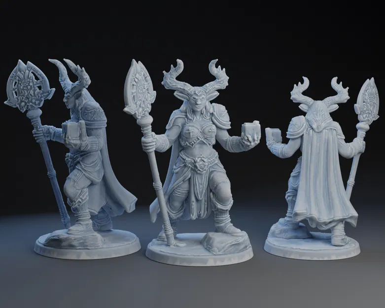 Mô Hình Shela Naglib - Chiến Binh Nhân Sự Từ Arcana Solutions - Image 1