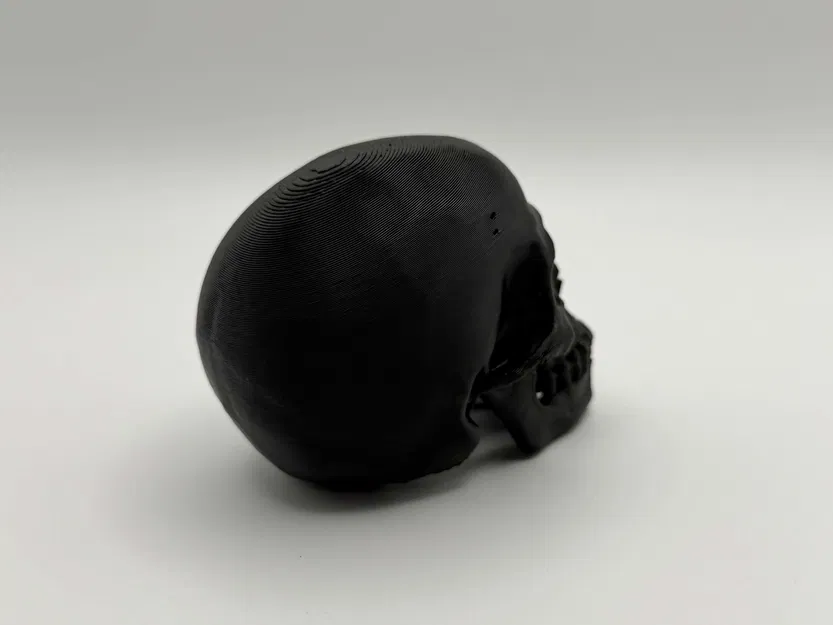 Mô Hình Đầu Lâu Giải Phẫu Trang Trí Độc Đáo - Image 2