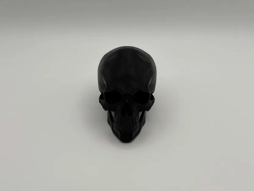 Mô Hình Đầu Lâu Giải Phẫu Trang Trí Độc Đáo - Image 3