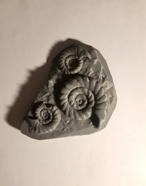 Mô Hình Hóa Thạch Ammolite 3D - Trang Trí Độc Đáo - Image 1