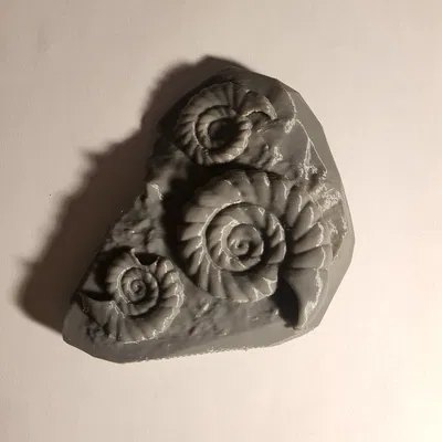 Mô Hình Hóa Thạch Ammolite 3D - Trang Trí Độc Đáo