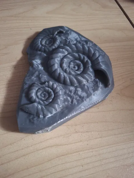 Mô Hình Hóa Thạch Ammolite 3D - Trang Trí Độc Đáo - Image 2