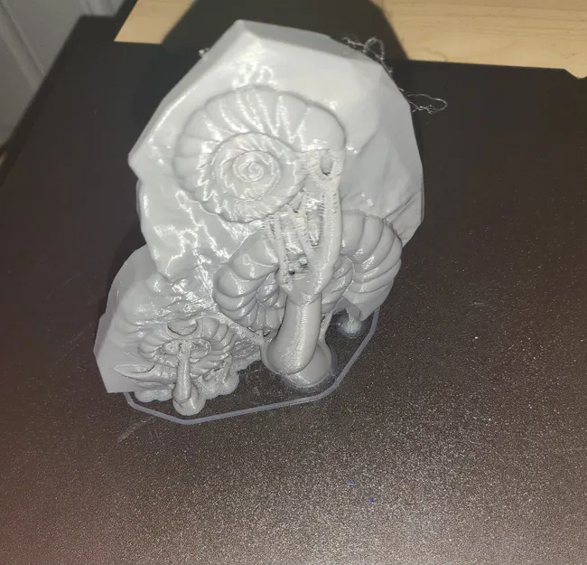 Mô Hình Hóa Thạch Ammolite 3D - Trang Trí Độc Đáo - Image 3