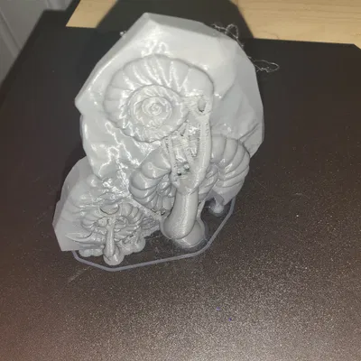 Mô Hình Hóa Thạch Ammolite 3D - Trang Trí Độc Đáo