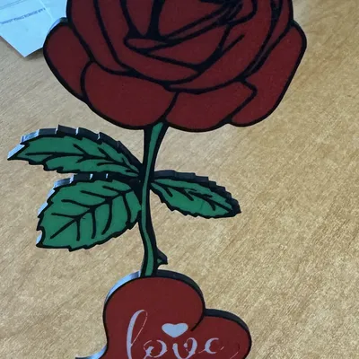 Flowers Rose – Bông hồng có chữ LOVE