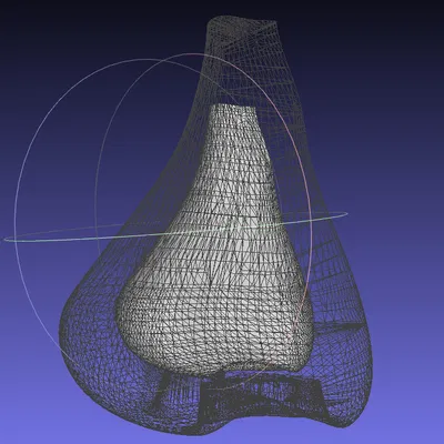 Mũi người (đã chỉnh sửa)