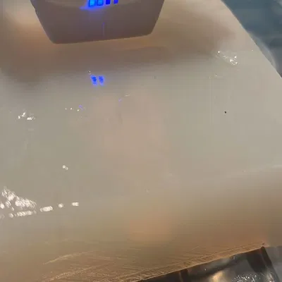 Đốt sống thắt lưng (Lumbar vertebrae)