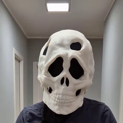 Mặt Nạ Đầu Lâu (Skull Mask) 2 Mảnh