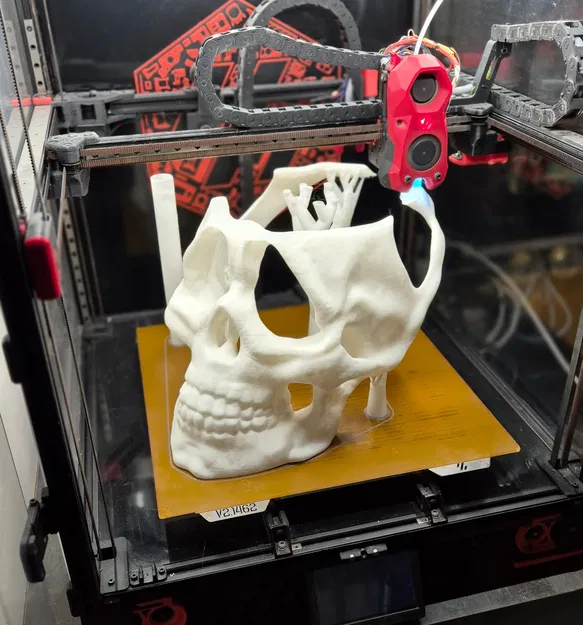 Mặt Nạ Đầu Lâu (Skull Mask) 2 Mảnh - Image 2