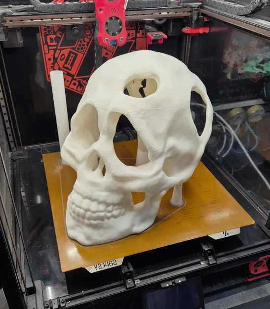 Mặt Nạ Đầu Lâu (Skull Mask) 2 Mảnh - Image 4