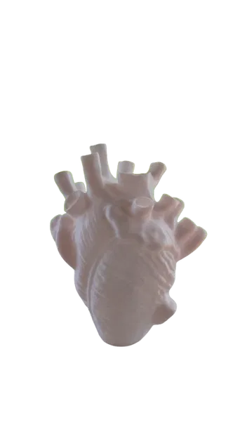Bình (vase) 3D hình trái tim giải phẫu (anatomical heart-shaped vessel) - Image 1