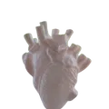 Bình (vase) 3D hình trái tim giải phẫu (anatomical heart-shaped vessel) - Thumbnail 1