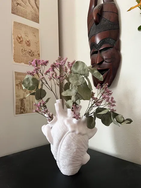 Bình (vase) 3D hình trái tim giải phẫu (anatomical heart-shaped vessel) - Image 2