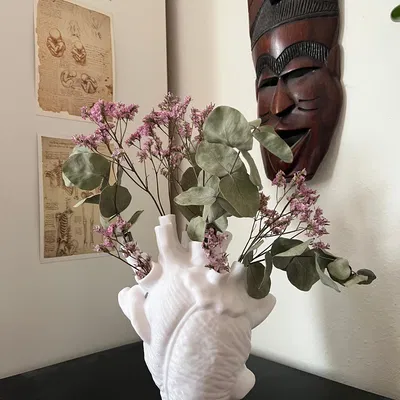 Bình (vase) 3D hình trái tim giải phẫu (anatomical heart-shaped vessel)