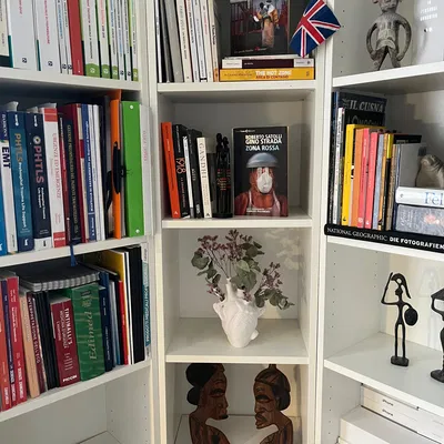 Bình (vase) 3D hình trái tim giải phẫu (anatomical heart-shaped vessel)