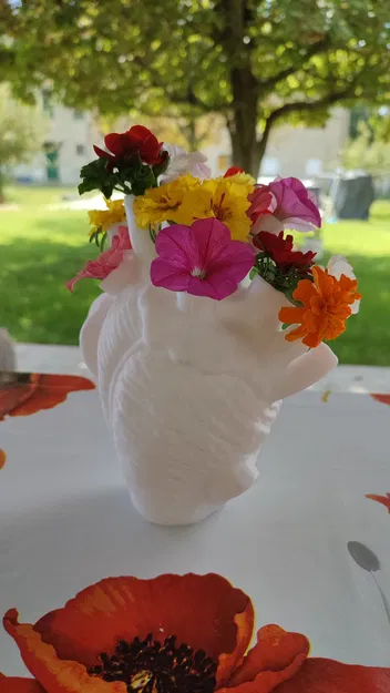 Bình (vase) 3D hình trái tim giải phẫu (anatomical heart-shaped vessel) - Image 4