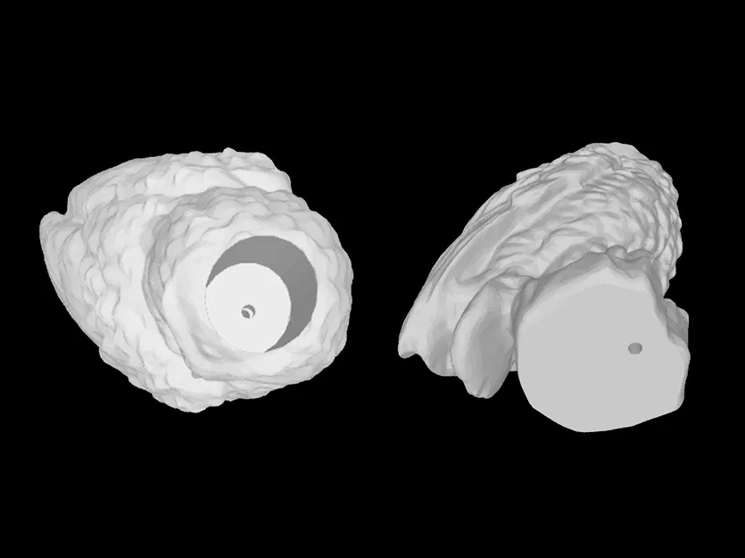 Chậu Cây Cú Hedwig 3D - Quà Tặng Độc Đáo Cho Fan Harry Potter - Image 3