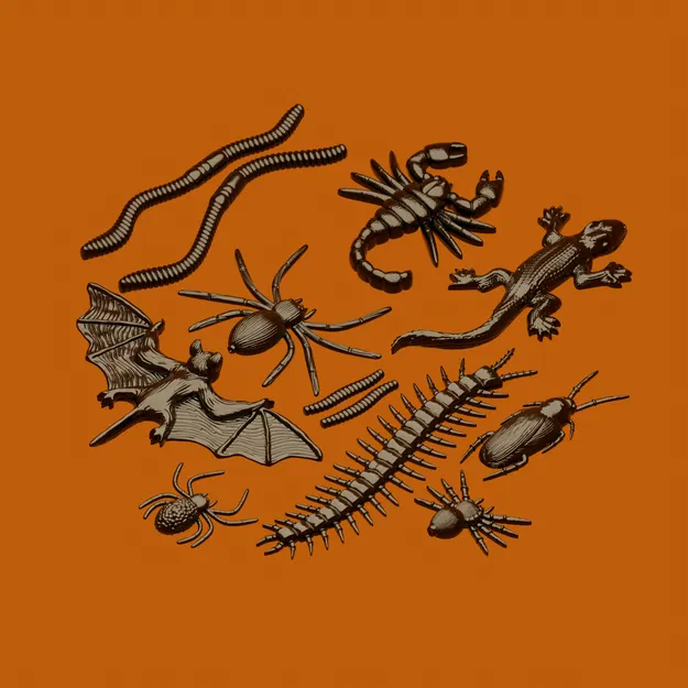 Bộ Côn Trùng Halloween (Halloween Insect Set) - Image 1