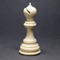 Bộ cờ vua (Chess set) kèm bàn cờ gấp gọn - Thumbnail 19