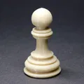 Bộ cờ vua (Chess set) kèm bàn cờ gấp gọn - Thumbnail 22