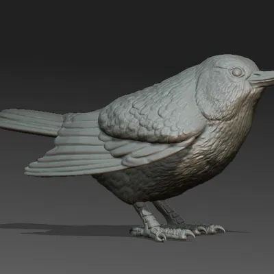 Tượng Chim Nuthatch (Nuthatch Sculpture)