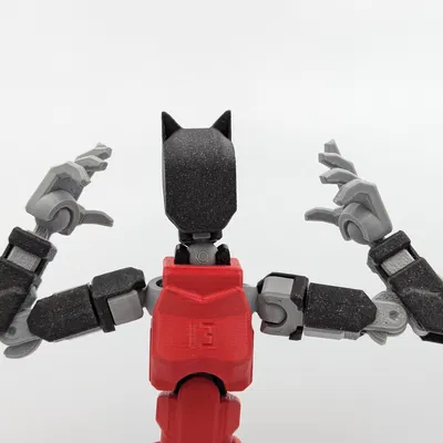 Đầu Mèo Thay Thế Cho Mô Hình Dummy 13