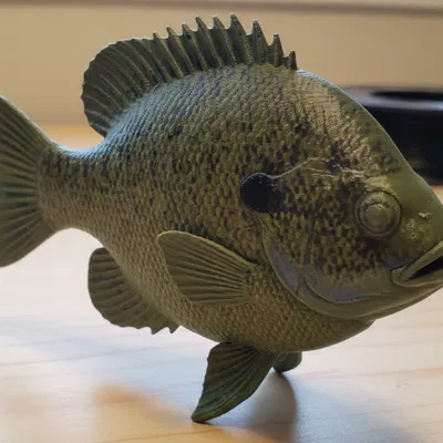 Bluegill – Mô hình cá trưng bày độc lập