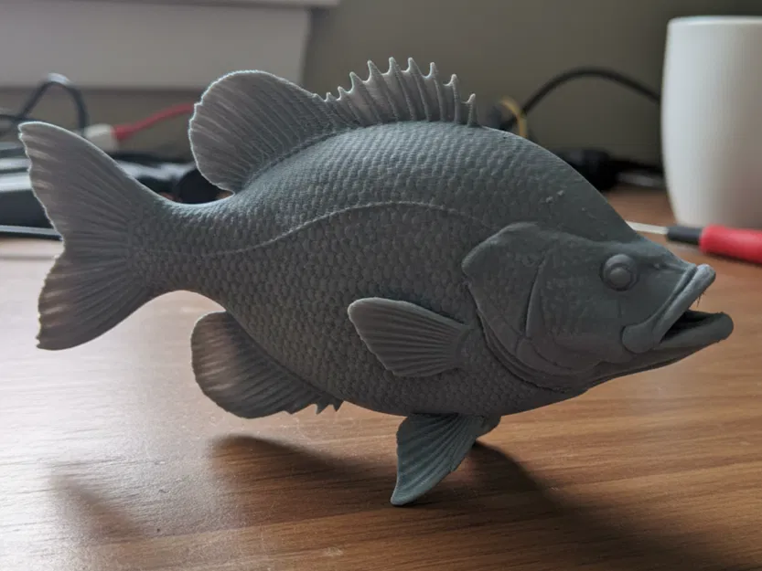 Crappie – Mô Hình Cá Trưng Bày Độc Lập - Image 1