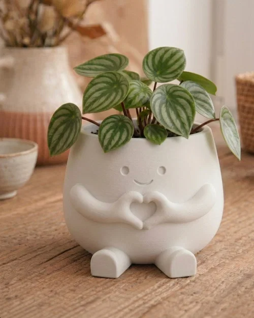 Chậu “Hearty” – Decor đôi tay tạo hình trái tim siêu dễ thương - Image 1